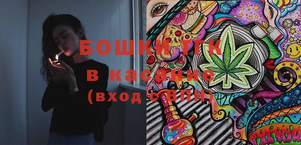 PSILOCYBIN Аркадак