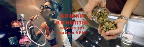 PSILOCYBIN Аркадак