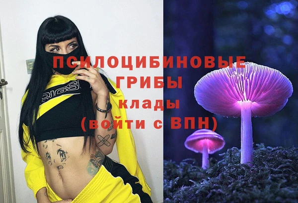 сатива Арсеньев