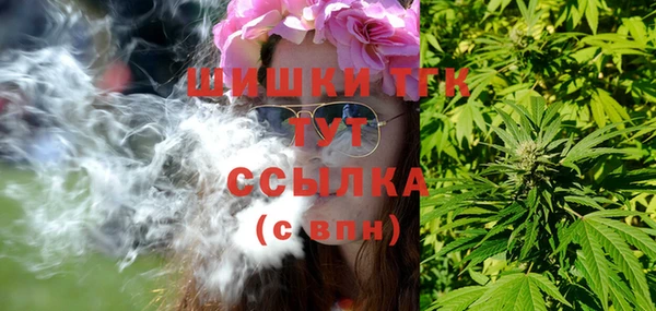 сатива Арсеньев