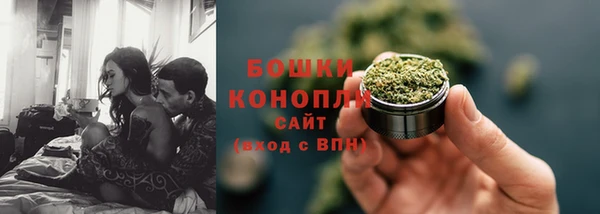 PSILOCYBIN Аркадак