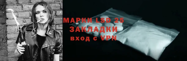 PSILOCYBIN Аркадак