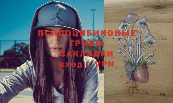 PSILOCYBIN Аркадак