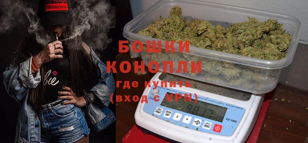 СК Пересвет