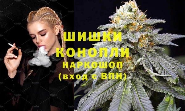 PSILOCYBIN Аркадак